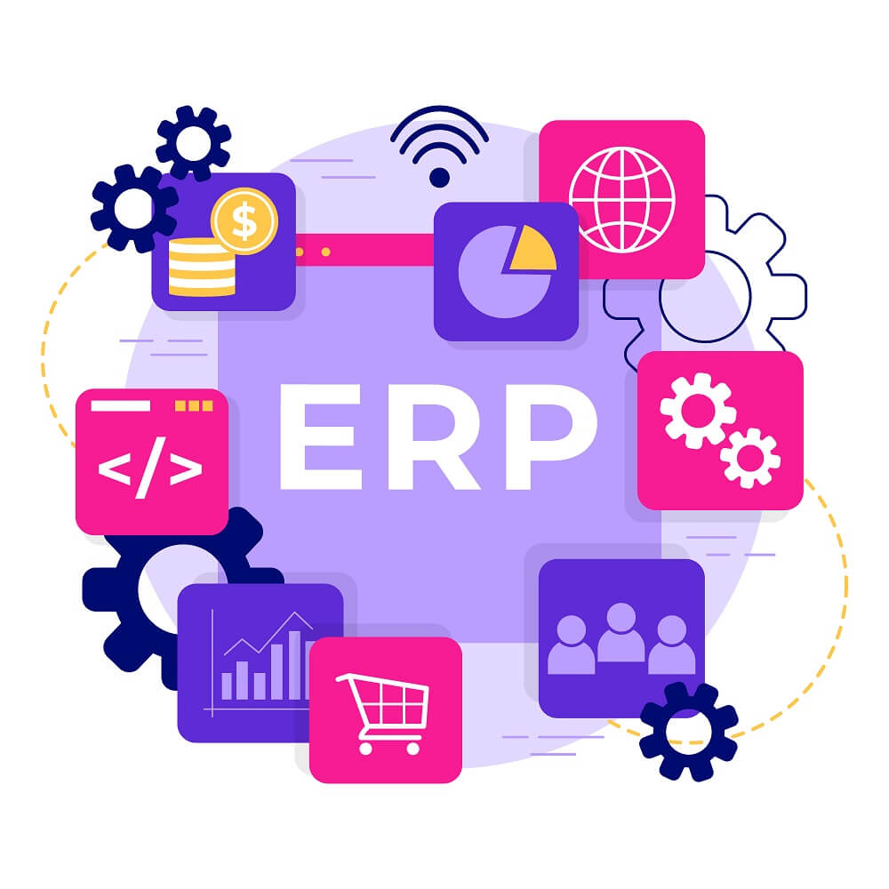 Hire ERP Developer